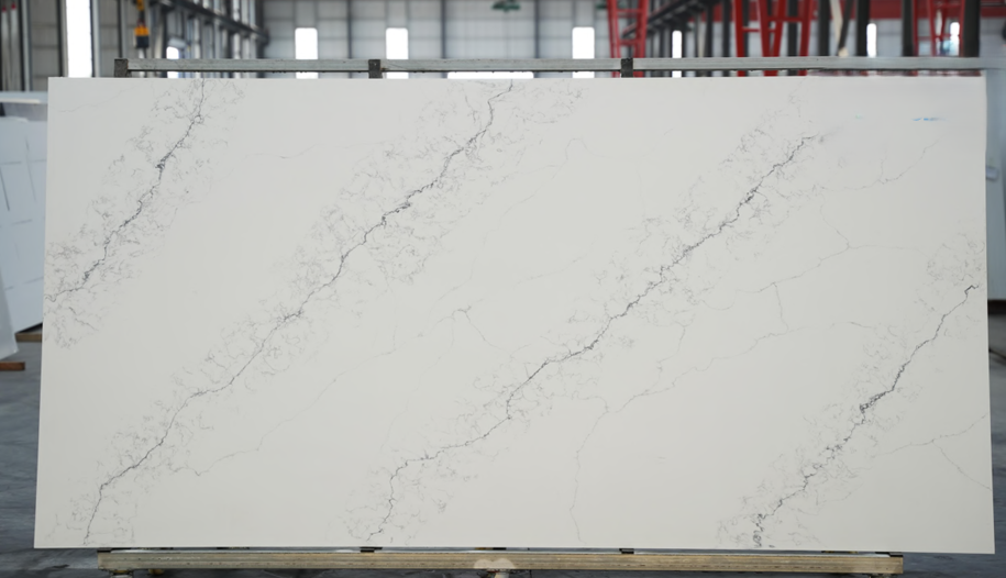 HS6103 Venato
